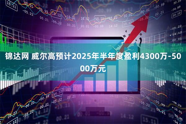 锦达网 威尔高预计2025年半年度盈利4300万-5000万元