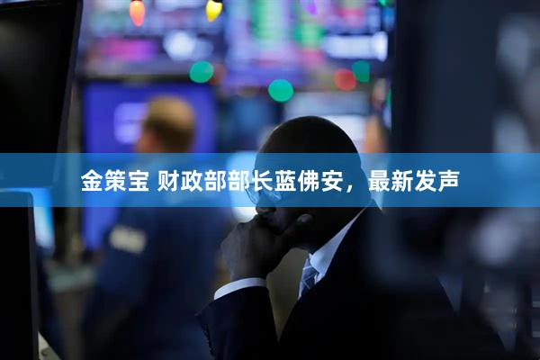 金策宝 财政部部长蓝佛安，最新发声