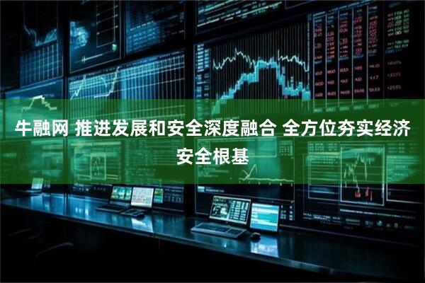牛融网 推进发展和安全深度融合 全方位夯实经济安全根基