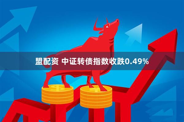盟配资 中证转债指数收跌0.49%